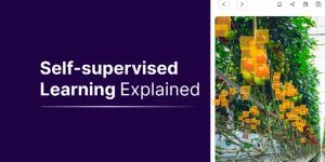 Self Supervised Learning چیست؟