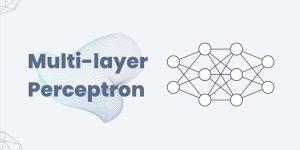 Multilayer perceptron یا پرسپترون چند لایه چیست؟